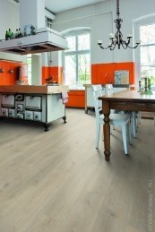 Ламинат Haro Tritty 100 Дуб Kонтура каменно-серый