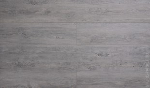 IVC Linea 24115