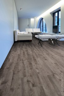 IVC Linea 24856