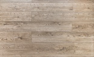  GRAND SEQUOIA  Гранд Секвойя Лавр