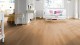 Ламинат HARO TRITTY 100 LOFT  Дуб Элеганс