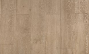  GRAND SEQUOIA Гранд Секвойя Камфора