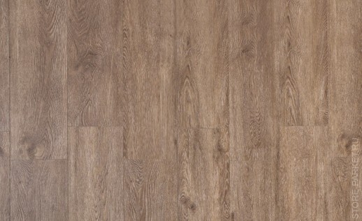  GRAND SEQUOIA Гранд Секвойя Маслина