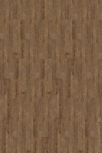 Oak Brushed - Пробковые покрытия Сorkstyle PrintCork WOOD