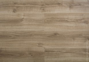 IVC Ultimo DRY BACK 24219Q-1