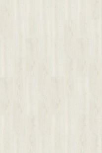 Oak Polar White - Пробковые покрытия Сorkstyle PrintCork WOOD