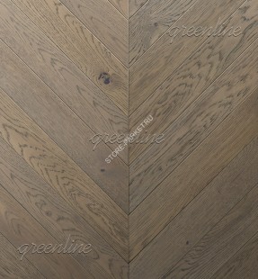 Французская елка Greenline Шамплейн